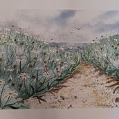 My project for course: Painting Realistic Watercolor Landscapes. Fine Arts, Painting, Sketching, Watercolor Painting, and Naturalistic Illustration project by lmgentile29 - 02.04.2023