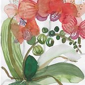 My project for course: Artistic Floral Watercolor: Connect with Nature . % miraaaasmr tarafından hazırlanan Geleneksel illüstras, on, Tablo, Sulubo, a Resim, Botanik İllüstras, Ve on projesi - 02.04.2023