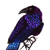 Cuervo Colorido. Traditional illustration, Digital Illustration, and Digital Drawing project by Aldu Fermi - 02.01.2023