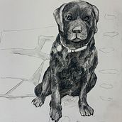 My project for course: Animal Illustration with Charcoal and Ink. Fine Arts, Drawing, Naturalistic Illustration & Ink Illustration project by Trisha Berry - 02.01.2023