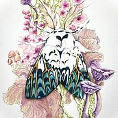 My project for course: Botanical Watercolor Painting of the Natural World. Un progetto di Belle arti, Pittura, Pittura ad acquerello, Illustrazione botanica e Illustrazione naturalistica di Nicola Nicolle - 05.02.2023