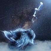 Mon projet du cours : Photomontage surréaliste avec Photoshop. Photograph, Post-production, Photo Retouching, Digital Photograph, Photographic Composition, and Photomontage project by ABDERRAHIM ESSAOUI - 02.07.2023