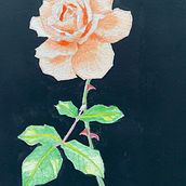 My project for course: Botanical Illustration with Watercolors. Traditional illustration, Painting, Drawing, Watercolor Painting, Botanical Illustration, and Fine Arts project by mj_almeida_2 - 02.03.2023