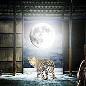 Mi proyecto del curso: Secretos del fotomontaje y el retoque creativo. Photograph, Photograph, Post-production, VFX, Photo Retouching, Fine-Art Photograph, Photographic Composition, and Photomontage project by Coronado - 02.08.2023