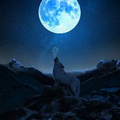 LA LUZ DEL LOBO . Photograph, Photograph, Post-production, VFX, Photo Retouching, Fine-Art Photograph, Photographic Composition, and Photomontage project by Carlos Designer - 02.09.2023