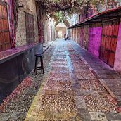 My project for course: Street Photography with Your Phone: Color and Composition. Photograph, Social Media, Mobile Photograph, Outdoor Photograph, Documentar, Photograph, Lifest, and le Photograph project by Jamil El Helou - 02.07.2023