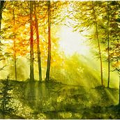 My project for course: Dreamy Watercolor Landscapes: Paint with Light. Pintura, Pintura em aquarela e Ilustração tradicional projeto de Wendy Coetzee - 10.02.2023