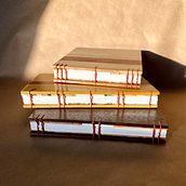 Hand sewn wooden journals.  The wood covers of these journals are made by laminating together various hard woods, drilling, re-sawing, sanding and finishing. I then use waxed linen thread to sew the pages into the journals (coptic stitch).   . Un proyecto de Artesanía de Heather Horton - 10.02.2023