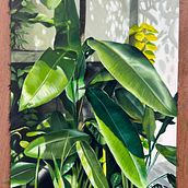 My project for course: Realistic Oil Painting: The Color of Plant Life. Fine Arts, Painting, Oil Painting, and Naturalistic Illustration project by laraebeto - 02.11.2023