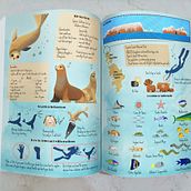 My project for course: Wildlife Illustration for Children's Books - A guide to the sea lion colony. Un progetto di Illustrazione vettoriale, Illustrazione digitale e Illustrazione infantile di Hannah Schmiddi - 08.02.2023