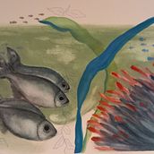 Il mio progetto del corso: Illustrazione di universi marini ad acquerello. Traditional illustration, Painting, Watercolor Painting, and Naturalistic Illustration project by michelacalandrini - 02.11.2023