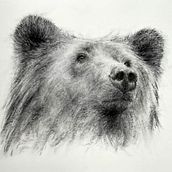 My project for course: Animal Illustration with Charcoal and Ink. Fine Arts, Drawing, Ink Illustration, and Naturalistic Illustration project by Leanne Penner - 02.12.2023