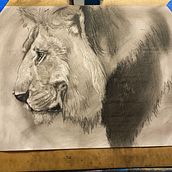 Charcoal piece of a lion . Un projet de Illustration traditionnelle de Shanelle Brooks - 13.02.2023