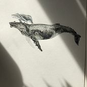 Motherhood of a humpback whale. Whales in watercolor  Ein Projekt aus dem Bereich Traditionelle Illustration, Aquarellmalerei und Naturalistische Illustration von Ekaterina Buchneva - 10.02.2023