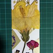 Mi proyecto del curso: Técnicas básicas de prensado botánico. Een project van Craft,  Beeldende kunst, Collage, DIY y Bloem- en plantenschikken van Janeth Franco - 14.02.2023