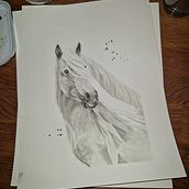 My project for course: Expressive Animal Portraits in Watercolor. Ilustração tradicional, Pintura em aquarela, Desenho realista e Ilustração naturalista projeto de lina_richtmann - 15.02.2023