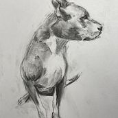 Animal Illustration with Charcoal and Ink: Monoprints and Bison study. Fine Arts, Drawing, Ink Illustration, and Naturalistic Illustration project by rabbitrebel - 02.16.2023