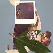 Meu projeto do curso: Criação de colagens com elementos botânicos. Traditional illustration, Arts, Crafts, Collage, and Pattern Design project by sandracest - 02.16.2023