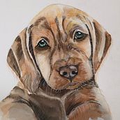 Mein Abschlussprojekt für den Kurs: Ausdrucksstarke Tierporträts in Aquarell. Traditional illustration, Watercolor Painting, Realistic Drawing, and Naturalistic Illustration project by pen_creativ - 02.16.2023