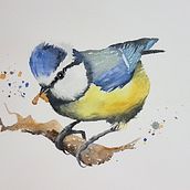 Mésange - Expressive Animal Portraits in Watercolor Ein Projekt aus dem Bereich Aquarellmalerei von genebinche - 16.02.2023