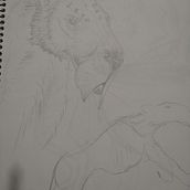Meu projeto do curso: Sketchbook de natureza fantástica: minhas criaturas!!!!. Pencil Drawing, Drawing, Watercolor Painting, Sketchbook, and Naturalistic Illustration project by Fernanda Coiado - 02.16.2023