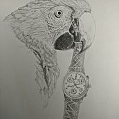 Disegno a matita. Traditional illustration project by Antonella Antonini - 02.17.2023
