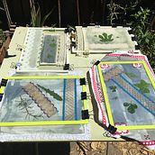 Mi proyecto del curso: Bluework: cianotipia y bordado. Traditional illustration, Arts, Crafts, Fine Arts, Paper Craft, Printing, DIY, Textile Printing, and Textile Design project by Jenny Sepúlveda Benavides - 02.17.2023