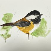 My project for course: Naturalist Watercolor with Expression and Personality. Traditional illustration, Watercolor Painting, and Naturalistic Illustration project by Nic Steenhout - 02.18.2023