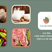 Logo - La vie saine. Br, ing, Identit, Design, and Graphic Design project by walko - 02.15.2023
