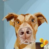 Mi proyecto del curso: Creación de caricaturas con Infinite Painter . % Kanelo Archuleta tarafından hazırlanan Geleneksel illüstras, on, Dijital İllüstras, Ve on projesi - 02.16.2023