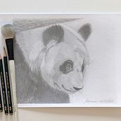 My project for course: Naturalistic Animal Drawing with Graphite Pencil. Un proyecto de Ilustración tradicional, Dibujo a lápiz, Dibujo e Ilustración naturalista				 de Adrienn Körösi Hass Jensen - 20.02.2023