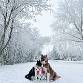 Invierno 2022. Un proyecto de Fotografía, Fotografía con móviles, Fotografía digital y Fotografía en exteriores de Daniela Acuña - 13.02.2023