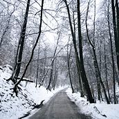 Beginner’s Photography. Photograph project by evgenia_resh - 02.21.2023