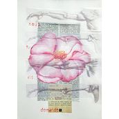 sperimentazioni. Traditional illustration project by Sonia Andrighetto - 02.21.2023