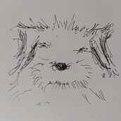 Dog portraits . Un projet de Dessin de portrait de Katherine Smith - 21.02.2023