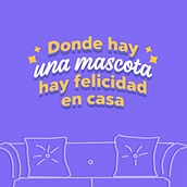 Feria de Mascotas | Campaña Retail. Un proyecto de Publicidad de Ignaurys Matos - 22.02.2023