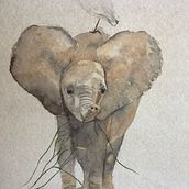 Mon projet du cours : Portraits expressifs d'animaux à l'aquarelle. Pintura em aquarela, Ilustração tradicional, Desenho realista e Ilustração naturalista projeto de Sylvie Perret Caranton - 18.02.2023