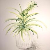My project for course: Illustrating Nature: A Creative Exploration. Traditional illustration, Painting, Drawing, Watercolor Painting, Ink Illustration, and Naturalistic Illustration project by Melanie Zurba - 02.23.2023