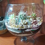 Mi proyecto del curso: Arte vegetal: crea tu propio terrario abierto. Un progetto di Interior design, Paesaggismo, Interior Design, DIY e Design floreale e vegetale di Ana Amaya - 22.02.2023