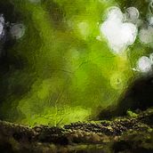 Image for "The Girl In The Moss" book.. Design, and Traditional illustration project by hwalpole128 - 02.23.2023