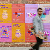 My project for course: Graphic Design: Communicate Complex Ideas with Simple Images. Br, ing, Identit, and Graphic Design project by Dalma Lukács - 02.23.2023