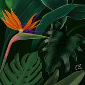 Mi proyecto del curso: Técnicas y estilos de ilustración con Procreate (Acrílico). Projekt z dziedziny Trad, c, jna ilustracja, Ilustracja c, frowa, R, sunek c i frow użytkownika vfg5vwkbzz - 22.02.2023