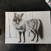 Abschlussprojekt. Traditional illustration, Fine Arts, and Pencil Drawing project by tajabe - 02.24.2023