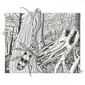 Il mio progetto del corso: Illustrazione con inchiostro e pennino: rappresenta la natura. Sketching, Drawing, Artistic Drawing, Sketchbook, Ink Illustration, and Naturalistic Illustration project by Federica Usai - 02.25.2023
