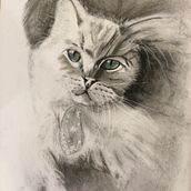 My project for course: Artistic Charcoal Portraiture: Creating Atmosphere. Traditional illustration, Fine Arts, Drawing, Portrait Drawing, Realistic Drawing, and Artistic Drawing project by susan1c - 02.25.2023