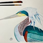 Mi proyecto del curso: Ilustración naturalista de aves con acuarela. Traditional illustration, Watercolor Painting, Realistic Drawing, and Naturalistic Illustration project by Susana García Blanco - 02.15.2023