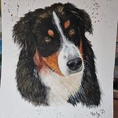 Mein Abschlussprojekt für den Kurs: Ausdrucksstarke Tierporträts in Aquarell. Een project van Traditionele illustratie, Aquarelschilderen, Realistische tekening y Naturalistische illustratie van Martina Sobotta - 26.02.2023