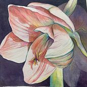 My project for course: Botanical Illustration with Watercolors. Traditional illustration, Fine Arts, Painting, Drawing, Watercolor Painting, and Botanical Illustration project by Lois Garrett - 02.26.2023