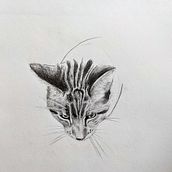 My project for course: Naturalistic Animal Drawing with Graphite Pencil. Traditional illustration, Pencil Drawing, Drawing, and Naturalistic Illustration project by najed - 02.27.2023