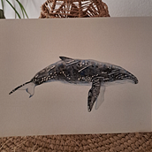 Mi proyecto del curso: Técnicas de ilustración naturalista: ballenas en acuarela. Fine Arts, Painting, Watercolor Painting, and Naturalistic Illustration project by artic - 02.27.2023